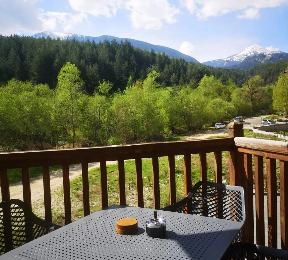 Woodsy Views 1 Bedroom Apartment Μπάνσκο